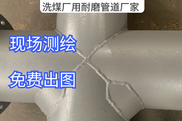 洗煤厂用榴莲视频破解版厂家